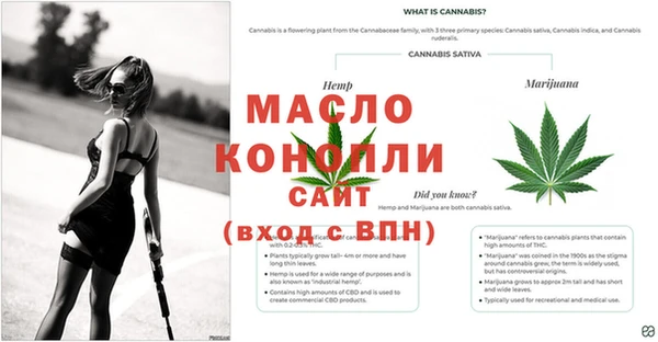 гашик Покров