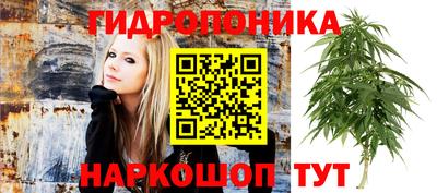наркотики Нальчик