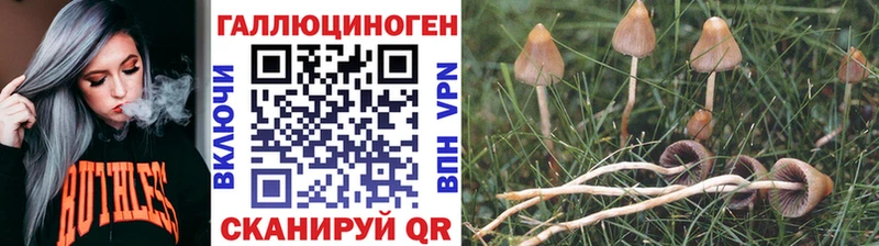 Псилоцибиновые грибы Magic Shrooms  Сыктывкар 