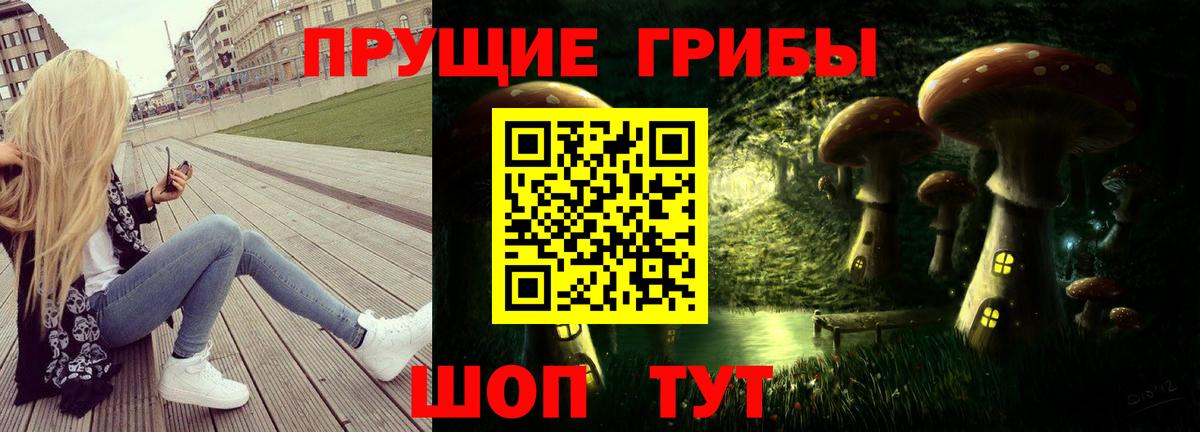 Псилоцибиновые грибы Psilocybine cubensis Сыктывкар